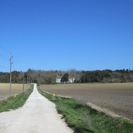 Chambres D'Hotes Domaine Saint-Joly Lasbordes Eksteriør bilde